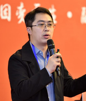 汪珺——凤凰项目沙盘讲师