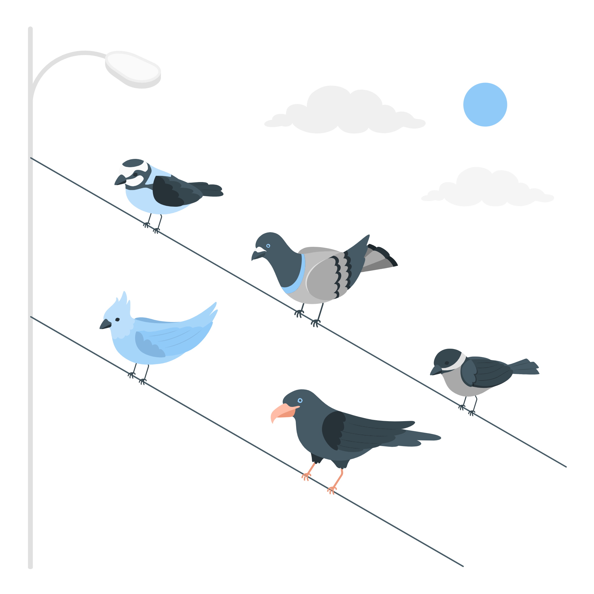 Scrum框架的自组织团队